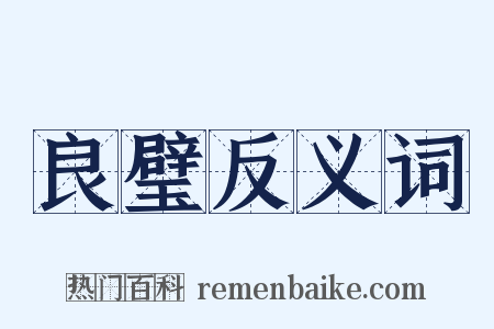 良璧反义词是什么意思的图片